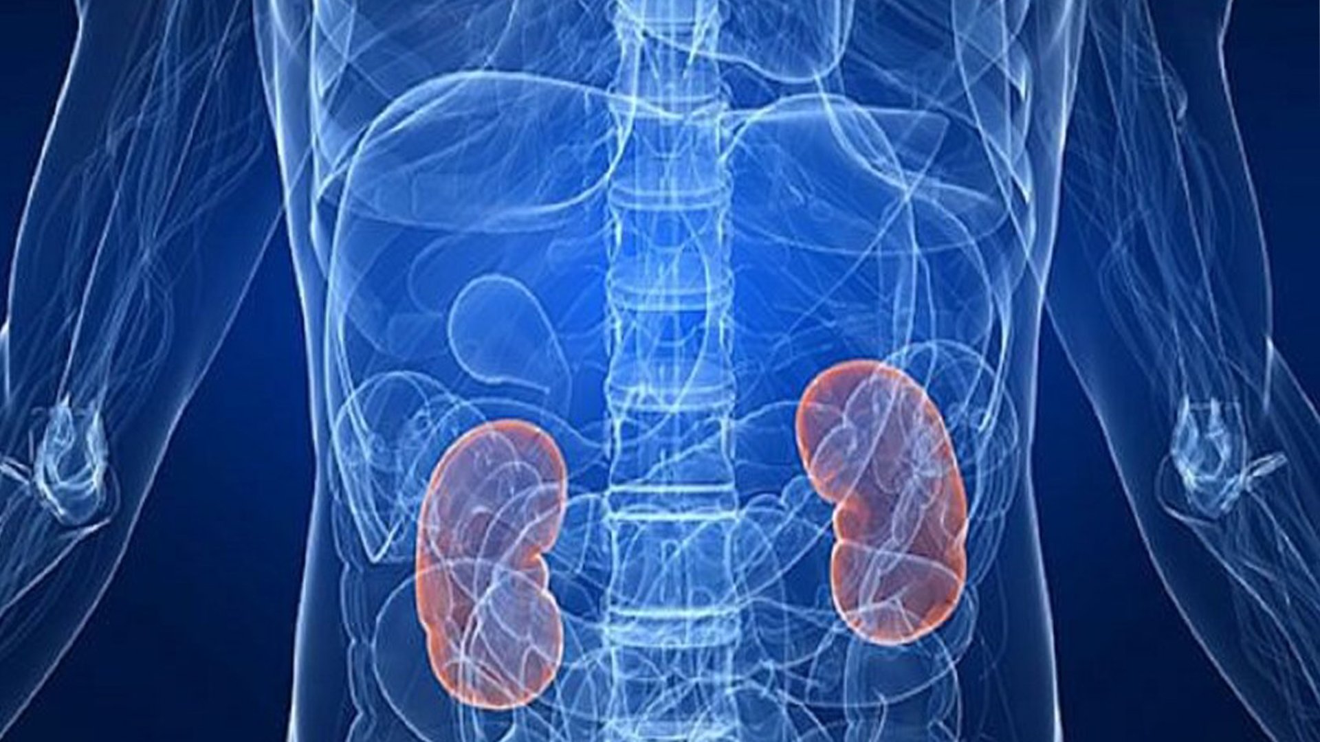 21ec8b933edc31654842c9126a901ac248cf331444e8e82c