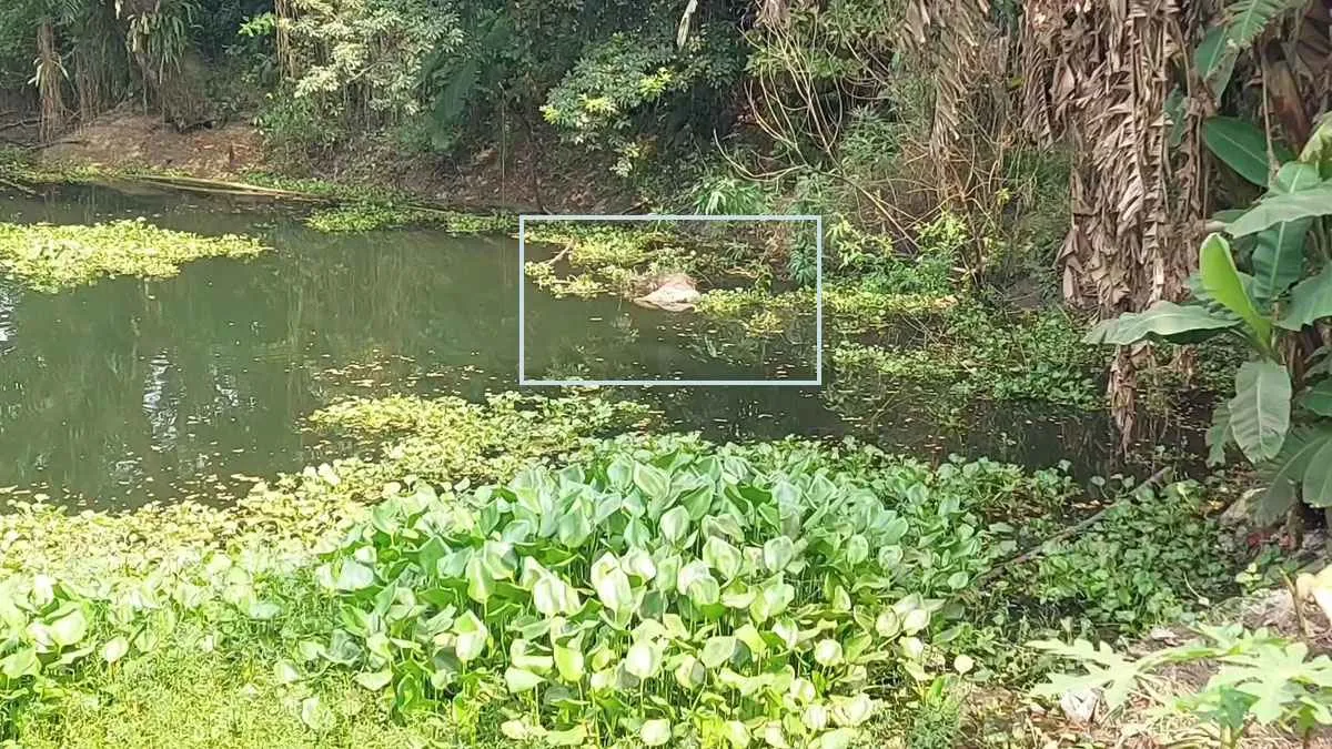 পরিত্যক্ত ডোবা থেকে অর্ধগলিত মরদেহ উদ্ধার