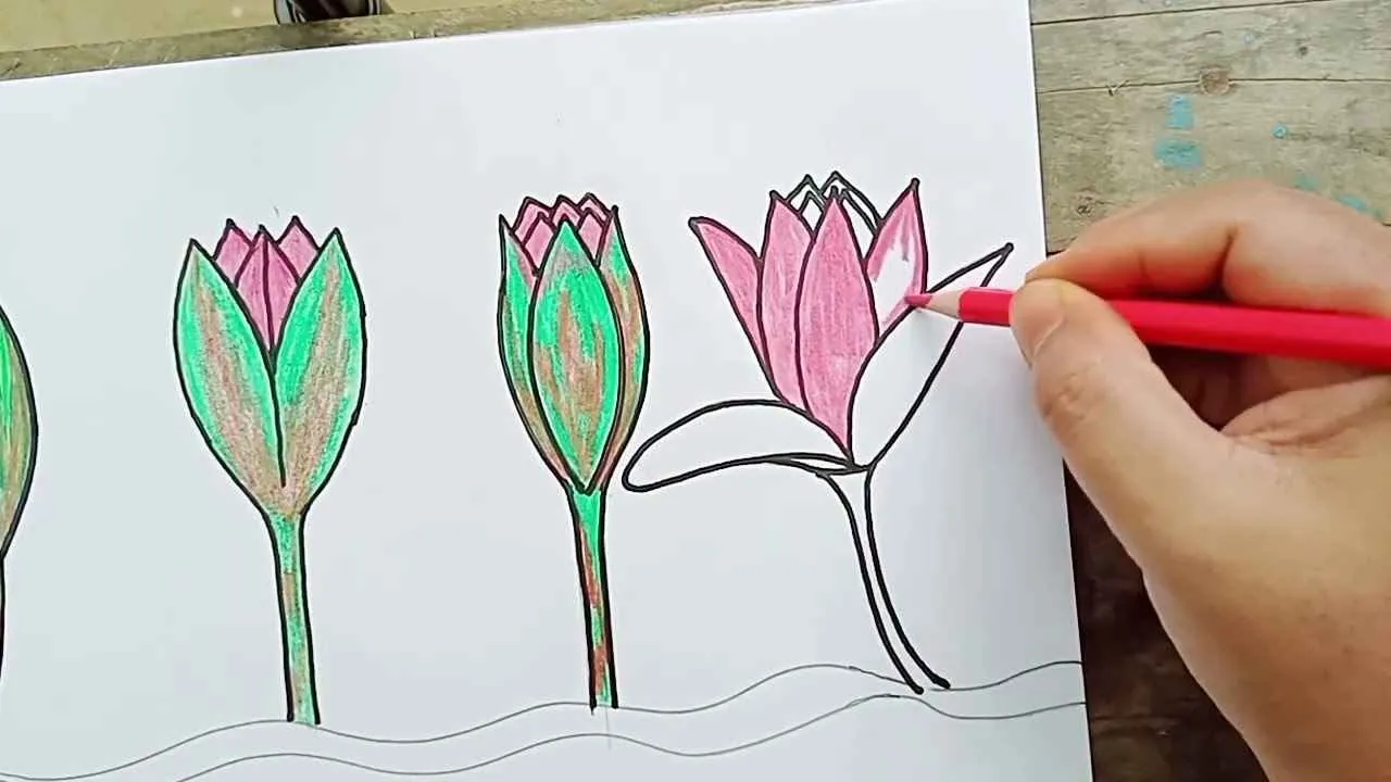 ইসির প্রতীক তালিকায় যুক্ত হলো ‘শাপলা কলি’