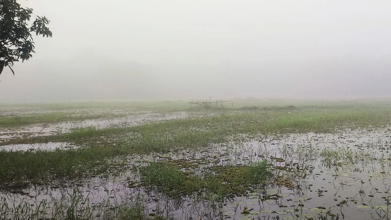 প্রকৃতিতে শীতের আগমনী বার্তা