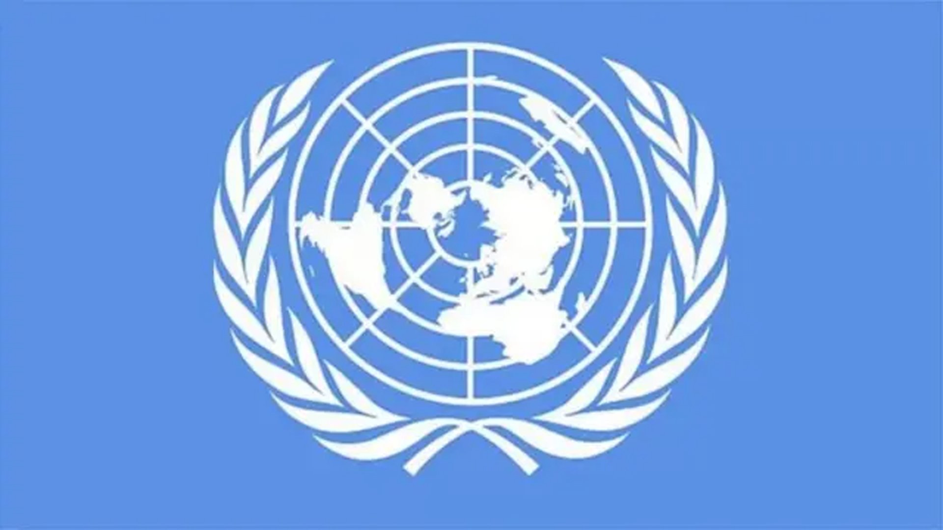 38e43006c5369f744b3bde11a59f2def24fdc9a610370b62