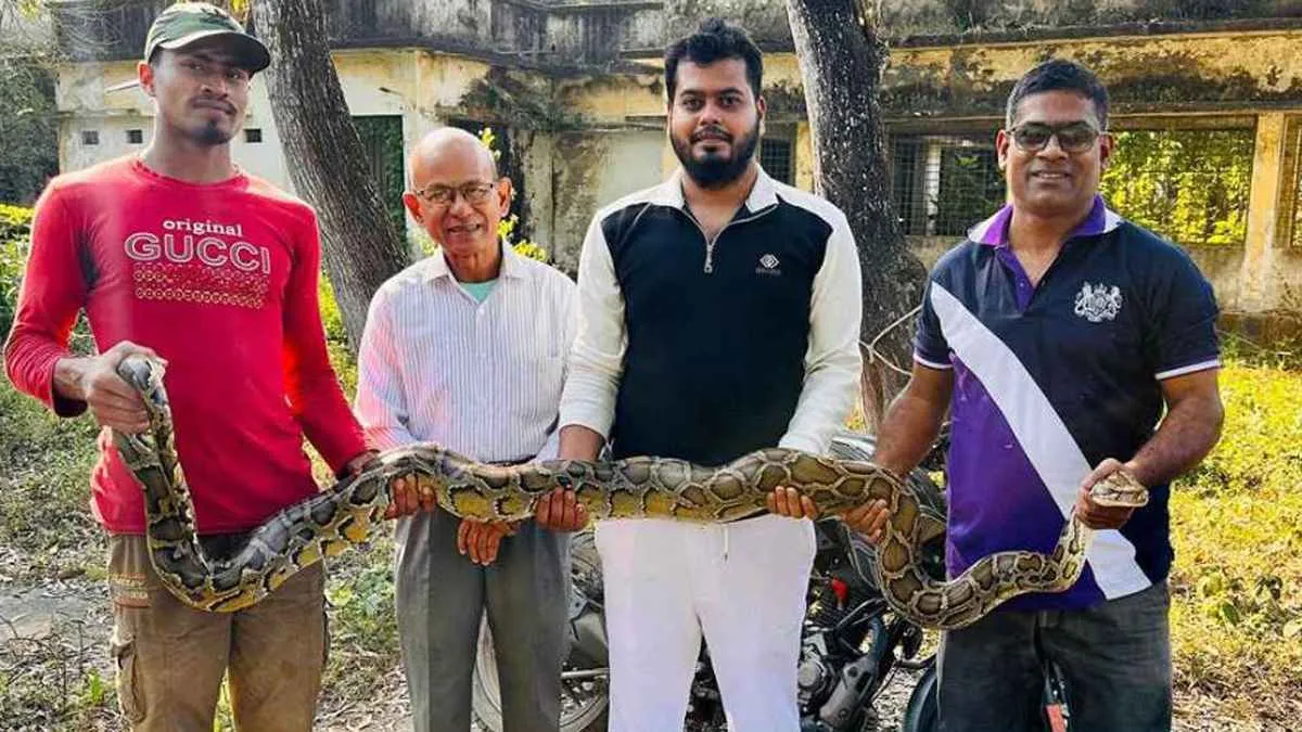 খাদ্য সংকটে লোকালয়ে অজগর