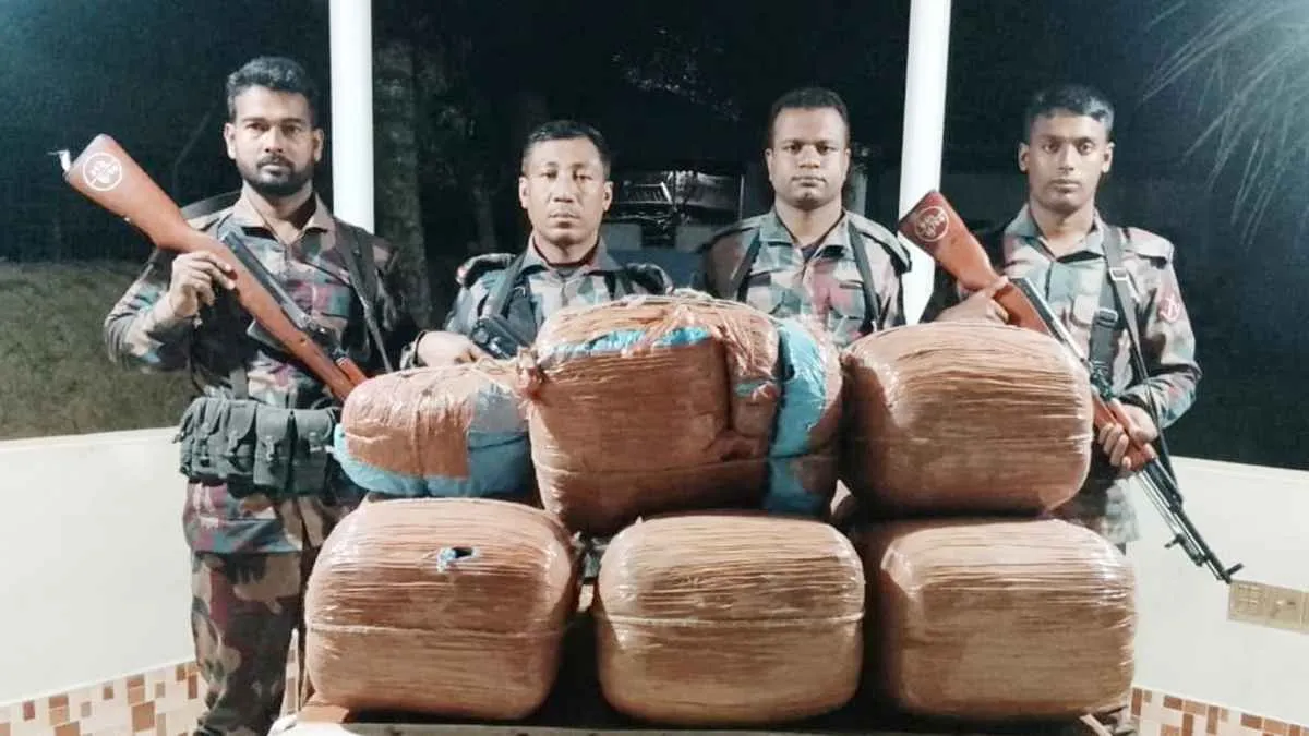 বিজিবির অভিযানে ৫১ কেজি ভারতীয় গাঁজা জব্দ