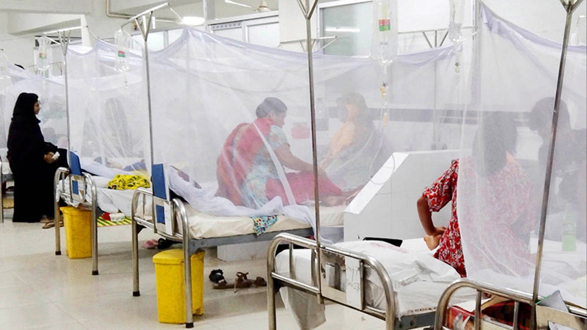 6b4b01cf5f3910b6d5e0a177757ef5eb1d66ed0dbebc4ff3