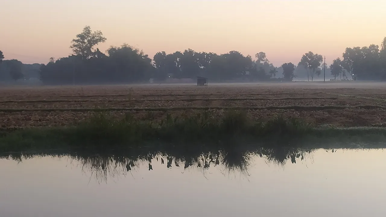 তেঁতুলিয়ায় পারদ ১৩ ডিগ্রিতে