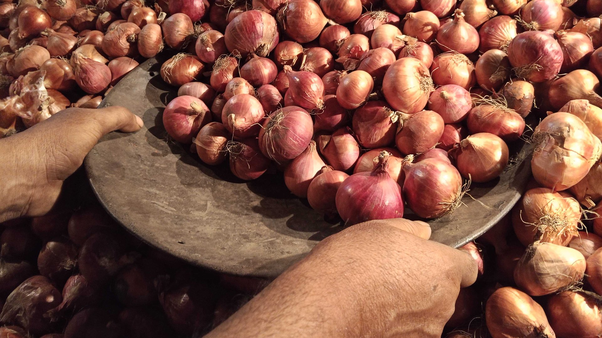 9587220979405757d9ebf50532b97b5df35137de3b219dc8