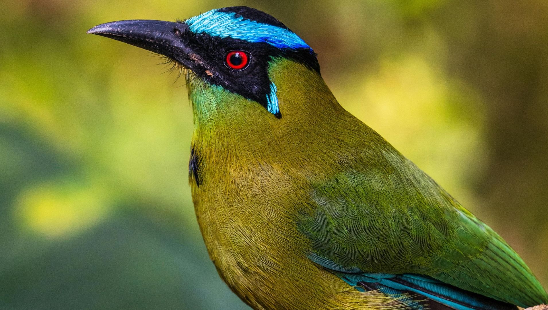 985e618cec98795188d72bc0570970f5221eb1d72bfdfcf2