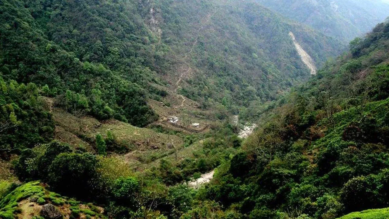 ৩৯ বছর পর দার্জিলিংয়ে খুলল ট্রেকিং পথ