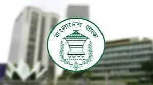 বিদেশে ৩ হাজার ডলার পাঠানোর সুযোগ পেলো এসএমই উদ্যোক্তারা