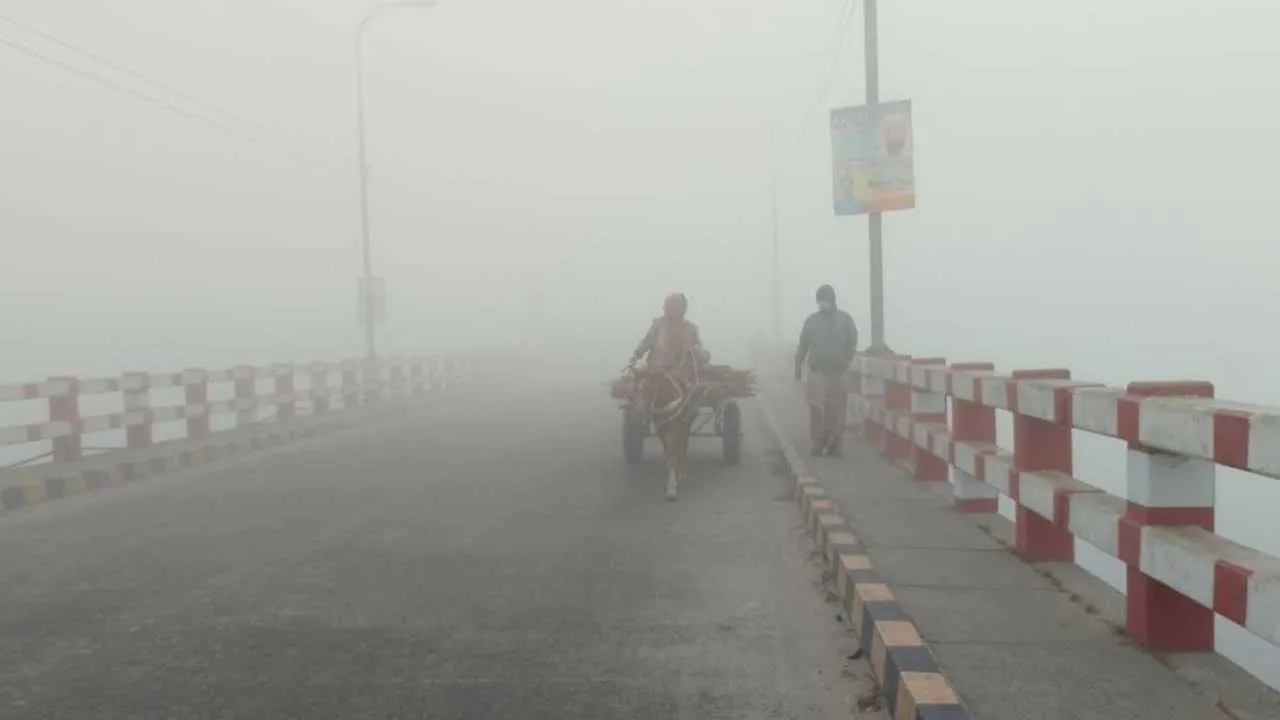 পঞ্চগড়ে শীতের তীব্রতা বাড়ছে: তেঁতুলিয়ায় নেমে গেছে ১১.৭ ডিগ্রি