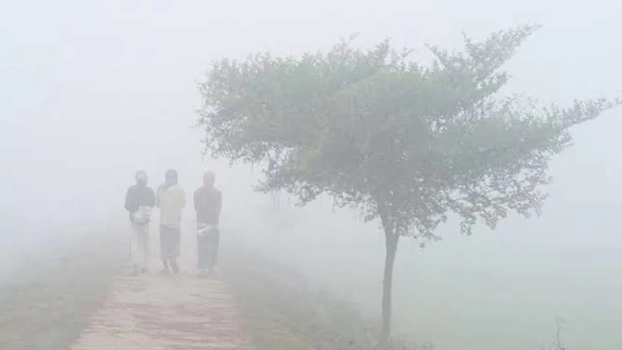 ৪৪ জেলায় শৈত্যপ্রবাহ, অব্যাহত থাকার আভাস