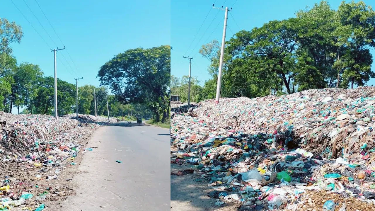 মহাসড়কের ধারে বর্জ্য-দুর্ভোগে পটিয়াবাসী