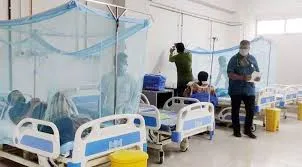 ডেঙ্গু সংক্রমণ বৃদ্ধি, হাসপাতালে ভর্তি ৭৮২, মৃত্যু ৩
