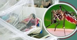ডেঙ্গু নিয়ন্ত্রণে স্বস্তি, আক্রান্ত হয়ে ভর্তি ২১৯