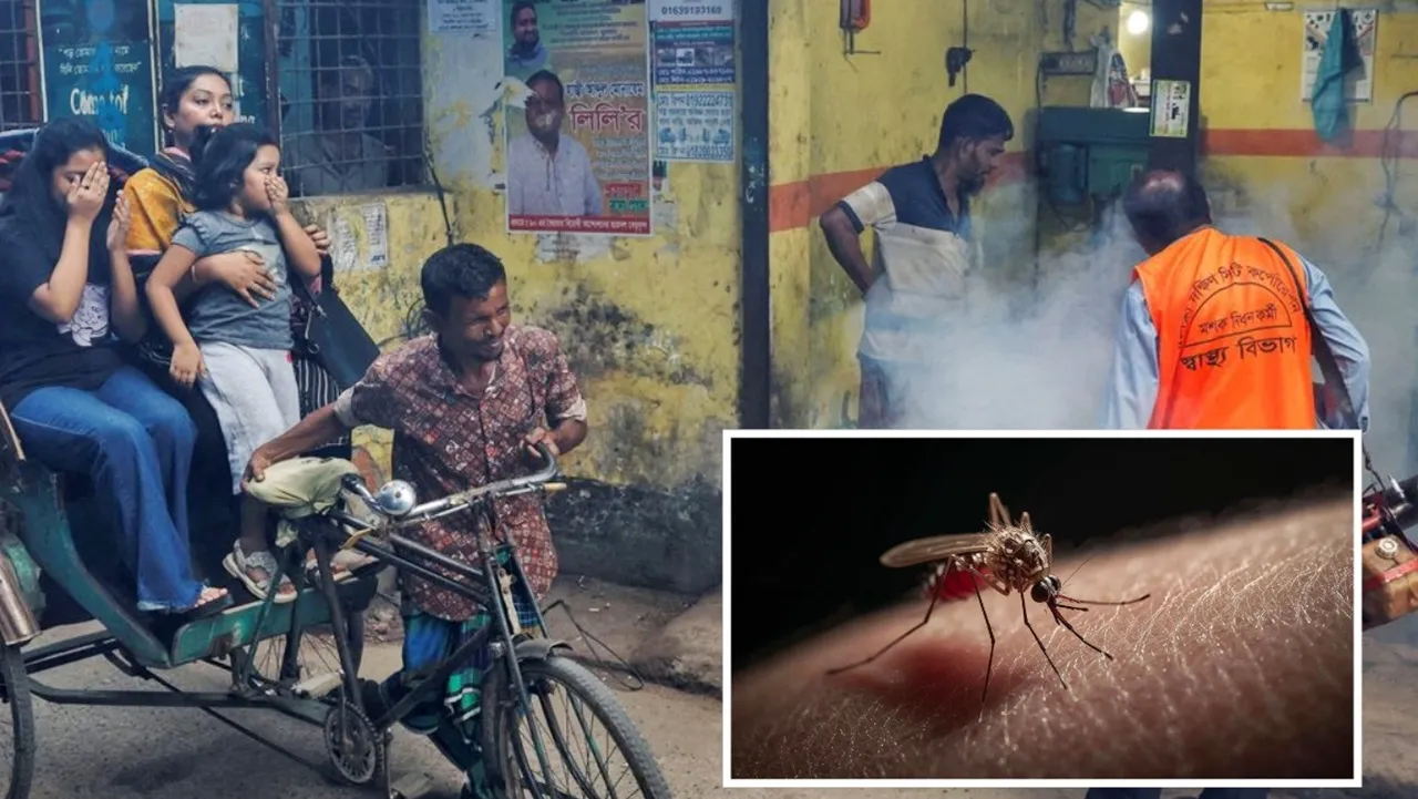 ডেঙ্গুতে দুজনের মৃত্যু, হাসপাতালে ভর্তি ৬১০