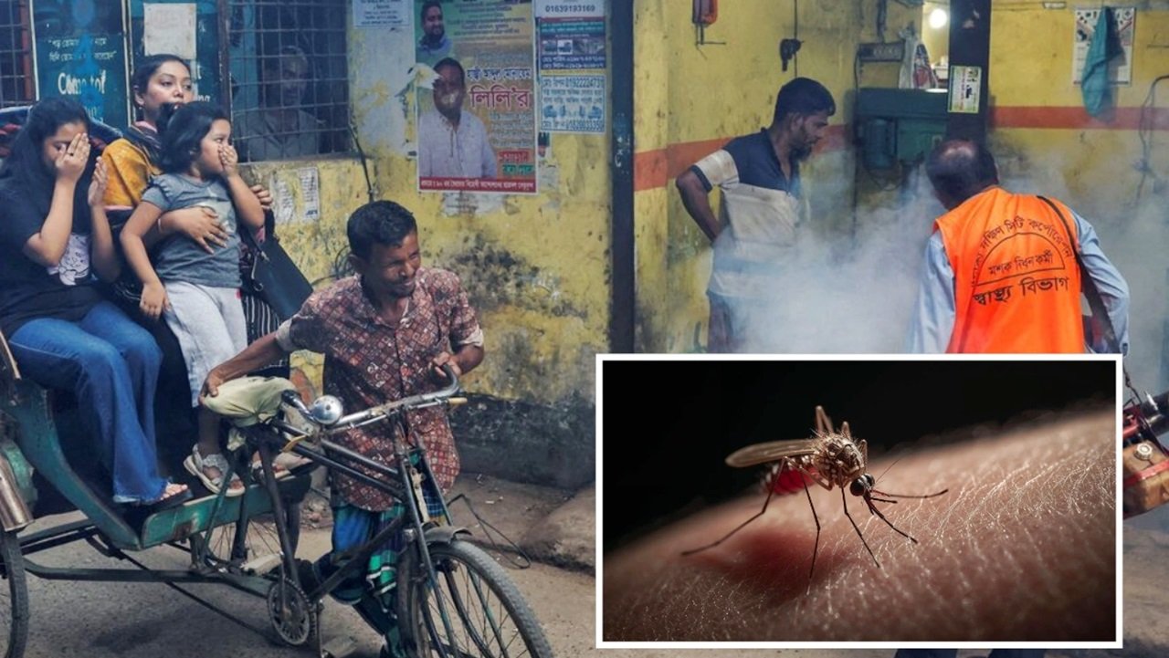 dengu-20251123162027