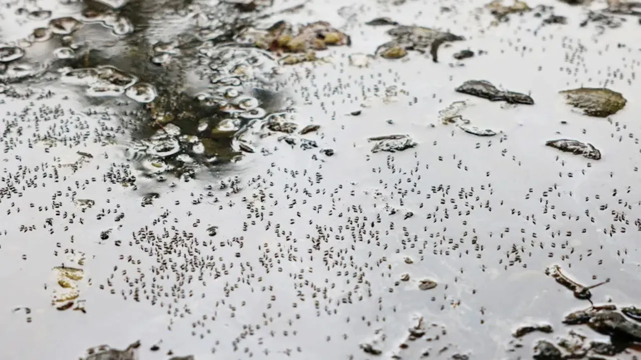 জলবায়ু পরিবর্তনের শিকার বাংলাদেশ