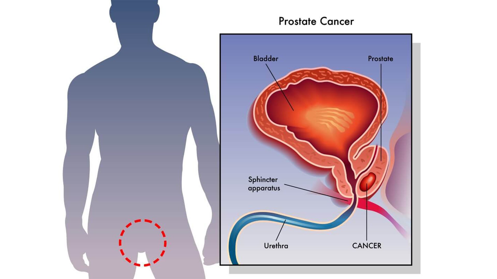 ec7886a7e9e5f778abc984d0197dbd2fd8283e764b9efd36