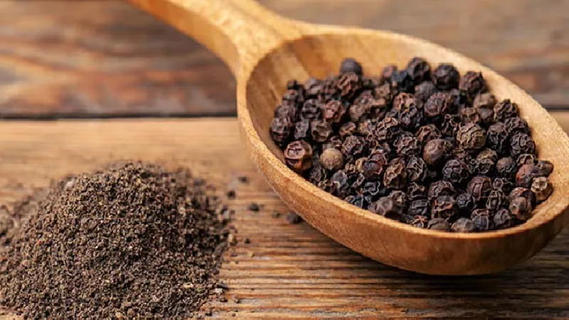 গোল মরিচ প্রতিদিন খেলে কী হয়? কেন খাওয়া উচিত