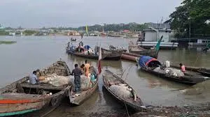 ইলিশ প্রজনন মৌসুমে বিশেষ নিষেধাজ্ঞা, শনিবার থেকে মাছ ধরা বন্ধ