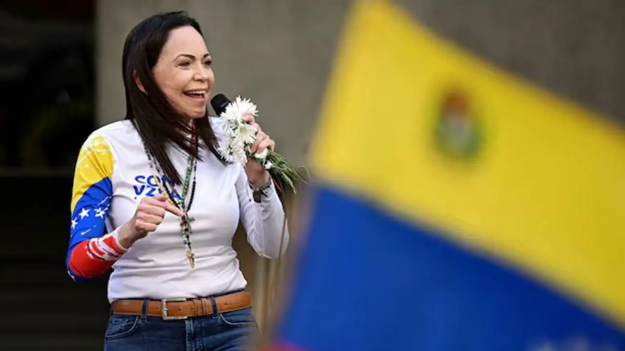 image_249685_1765900008