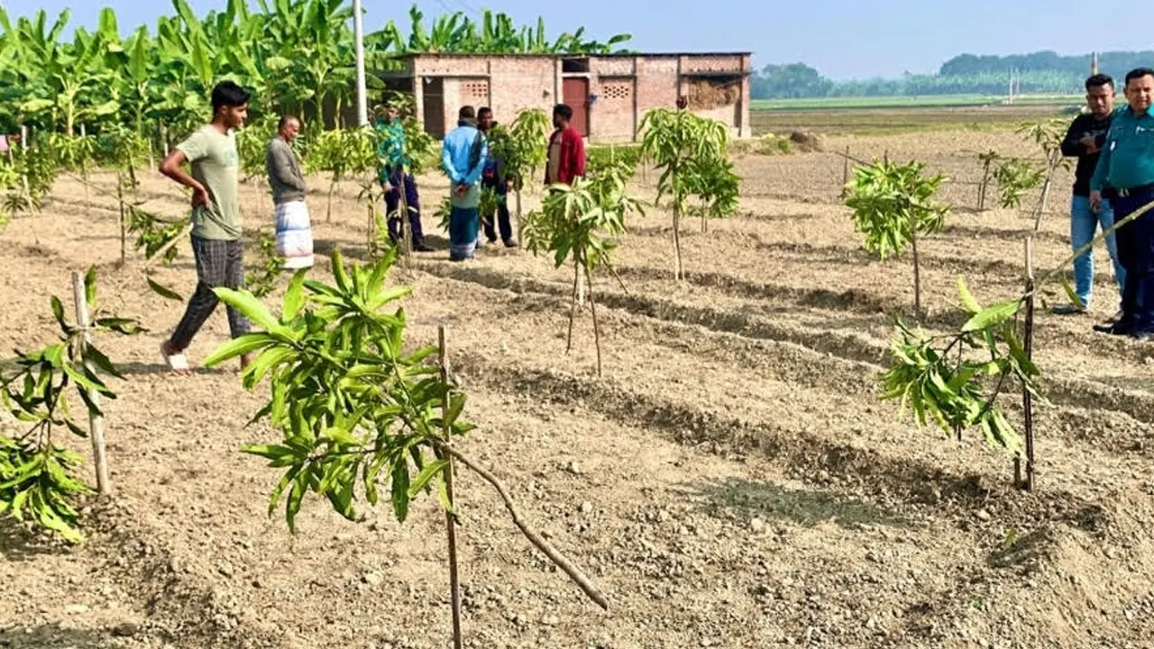 image_249869_1765965925