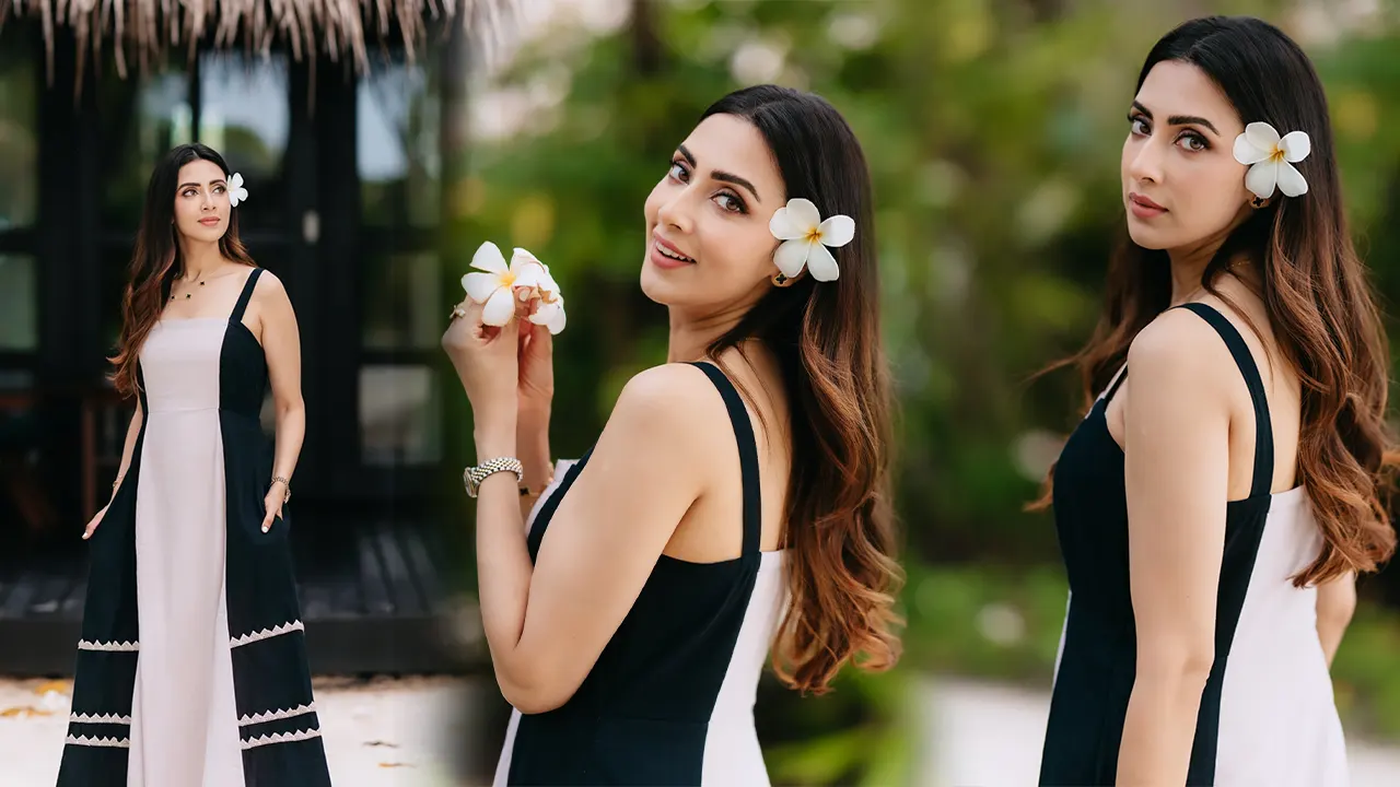 image_250969_1766311730