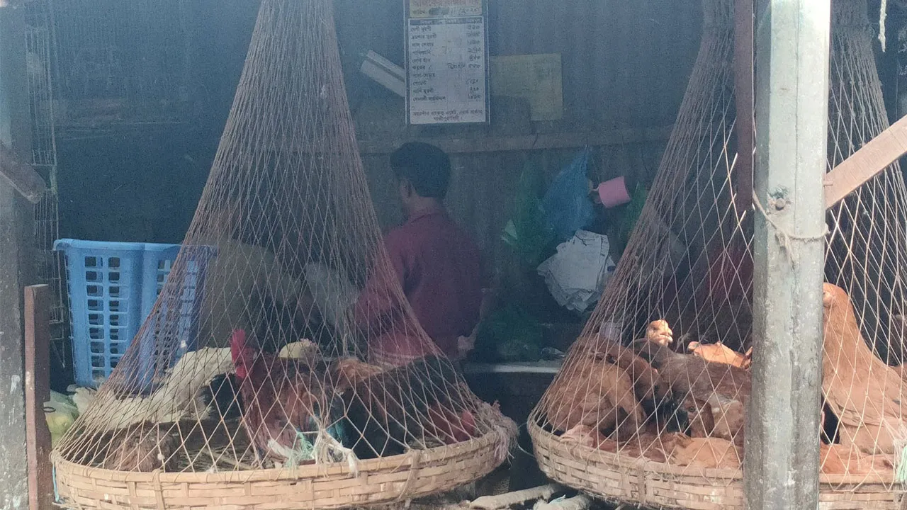 মুরগির দাম কমেছে, গরু-খাসির দাম অপরিবর্তিত