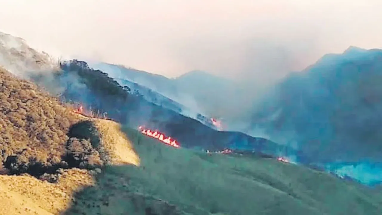 নাগাল্যান্ডে দাবানল, জুকো উপত্যকা বিপর্যস্ত