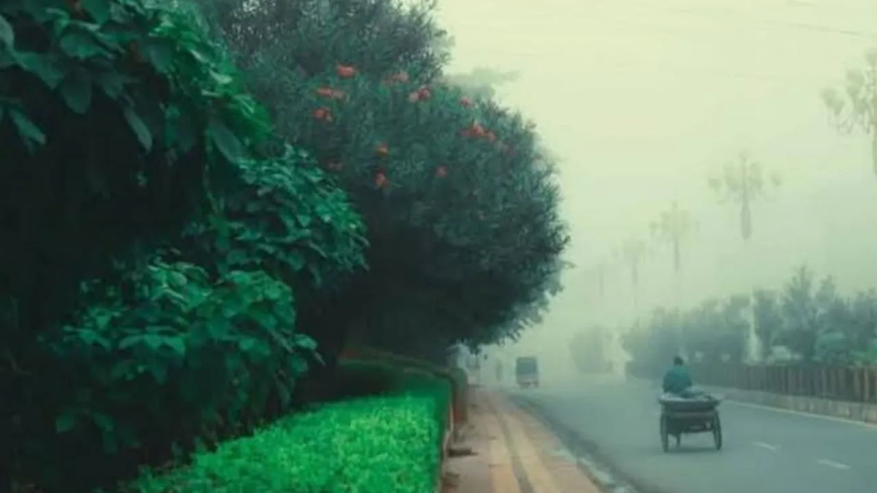 রাজশাহীতে তীব্র শীত, সর্বনিম্ন ১০ ডিগ্রি