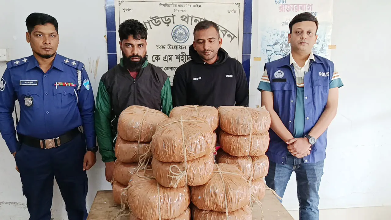 আখাউড়ায় ৩৬ কেজি গাঁজা উদ্ধার, সহযোগী আটক