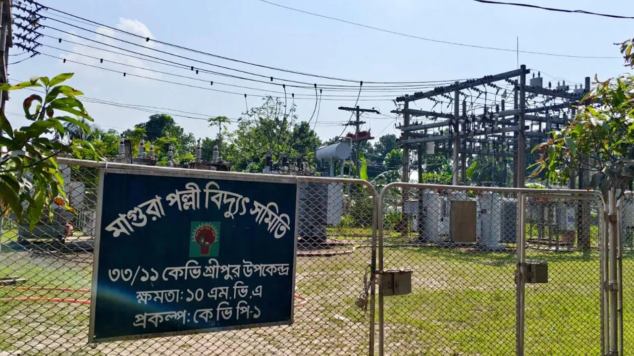 পল্লী বিদ্যুৎ কর্মীকে থাপ্পড়ে, গ্রাহকের বাড়ির সংযোগ বিচ্ছিন্ন