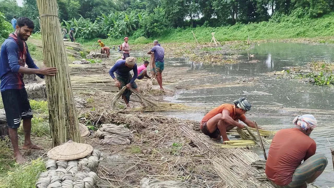 অতিরিক্ত মজুতে অস্থির বাজার, পাটকলে উৎপাদন ব্যাহত