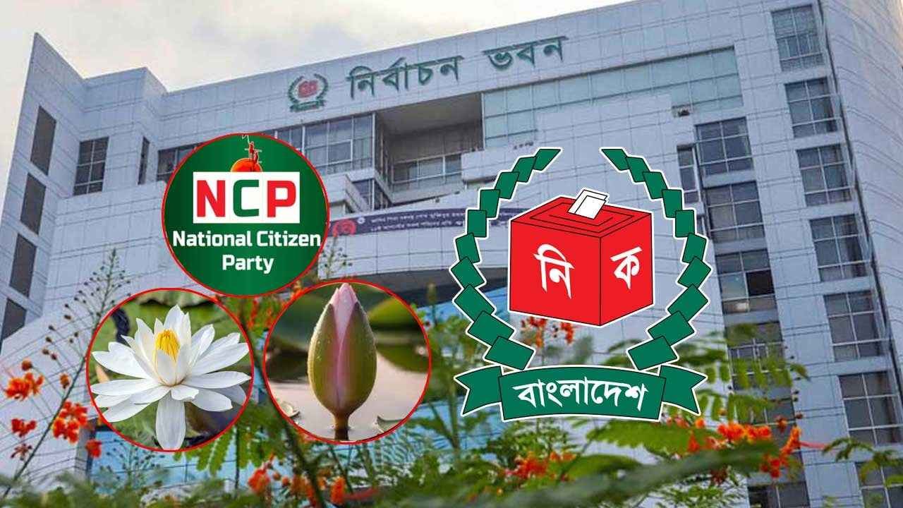 ncp_20251102_084224691