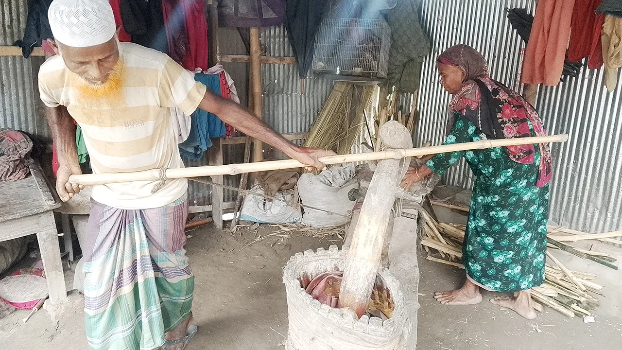 গরু কেনার সামর্থ্য নেই, ৩৫ বছর ধরে বুক দিয়ে ঘানি টানছেন মোস্তাকিন