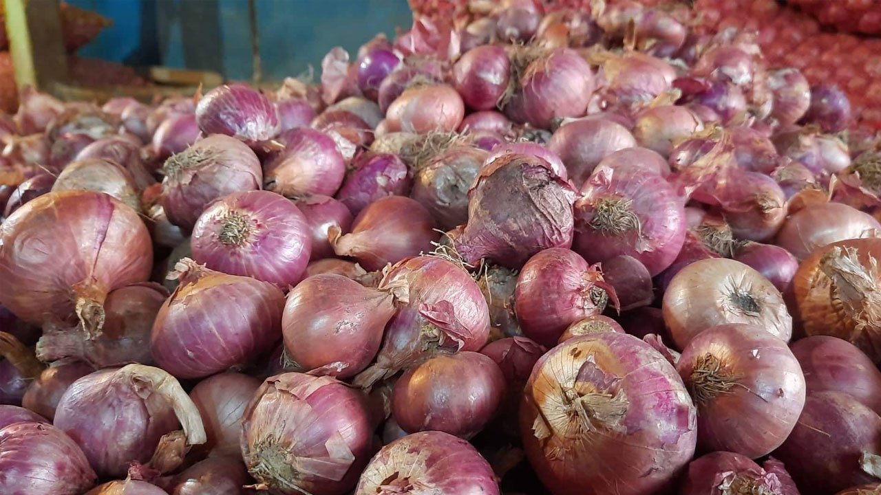 onion-price-20251213103033
