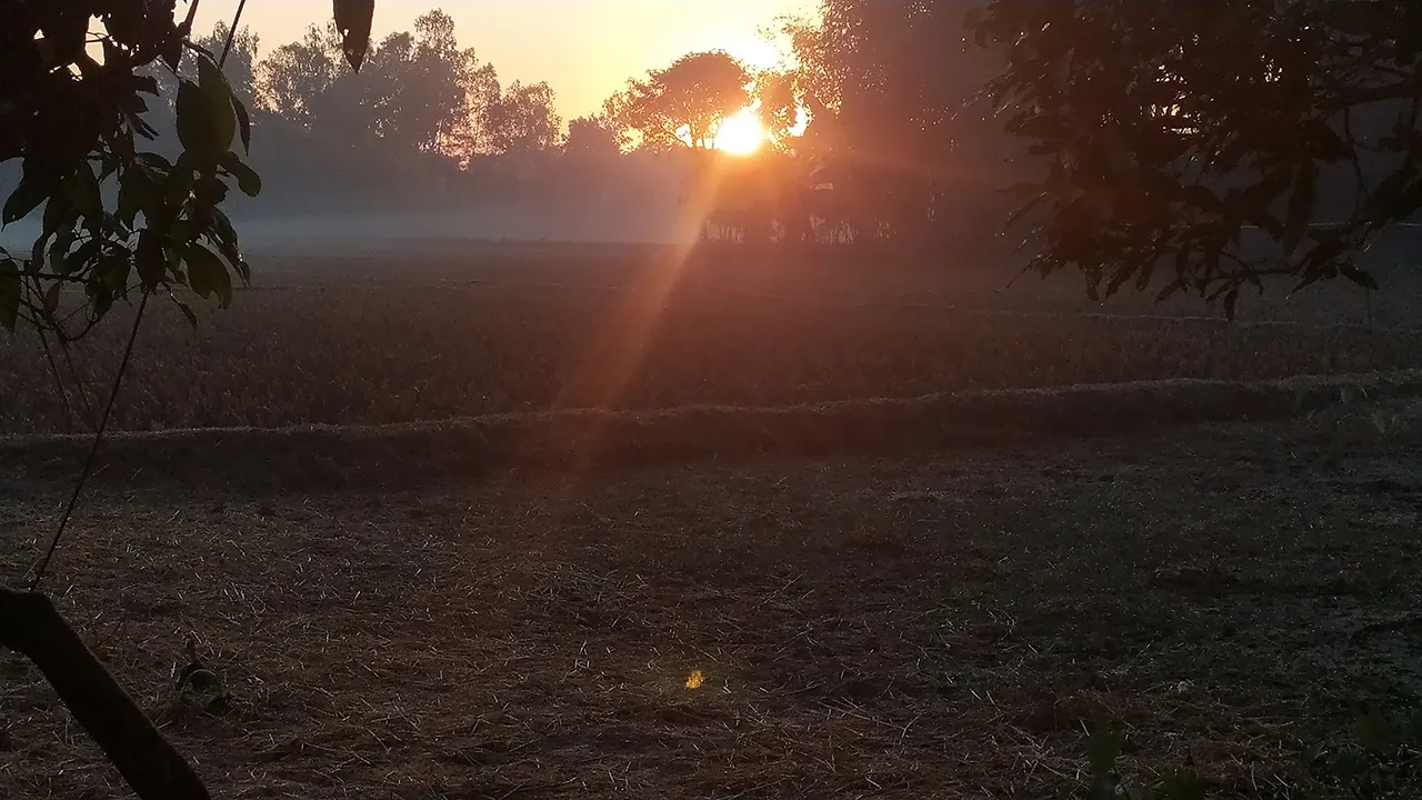 তেঁতুলিয়ায় টানা চার দিন মৃদু শৈত্যপ্রবাহ, চরম ভোগান্তিতে শ্রমজীবীরা
