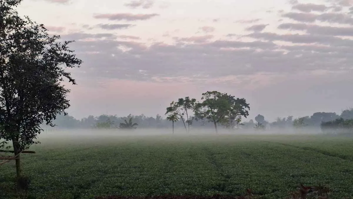 পঞ্চগড়ে শীতের দাপট, তাপমাত্রা ১৩.৪° সেলসিয়াস