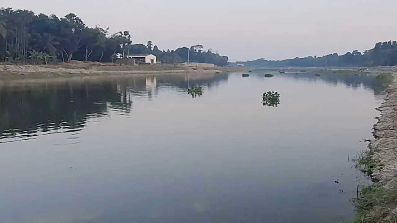 নবগঙ্গা নদীতে দুই চাচাতো ভাইয়ের মৃত্যু