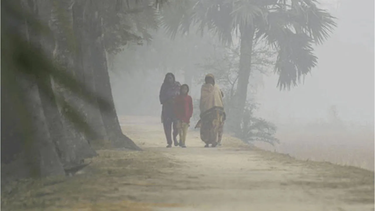 চুয়াডাঙ্গার কাঁপানো শীত: সর্বনিম্ন তাপমাত্রা ১১.৭°