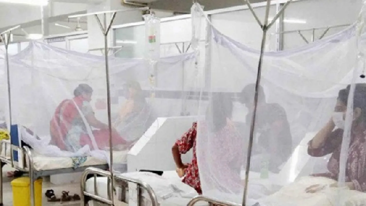 রামেকে ডেঙ্গুতে আরও দুইজনের প্রাণহানি