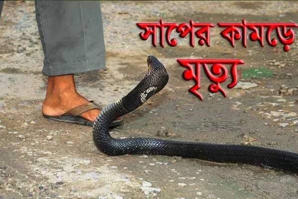 সাপের কামড়ে কুড়িগ্রামে ঝরে গেল স্কুলছাত্রীর প্রাণ