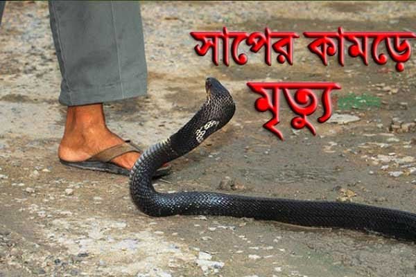 sanak
