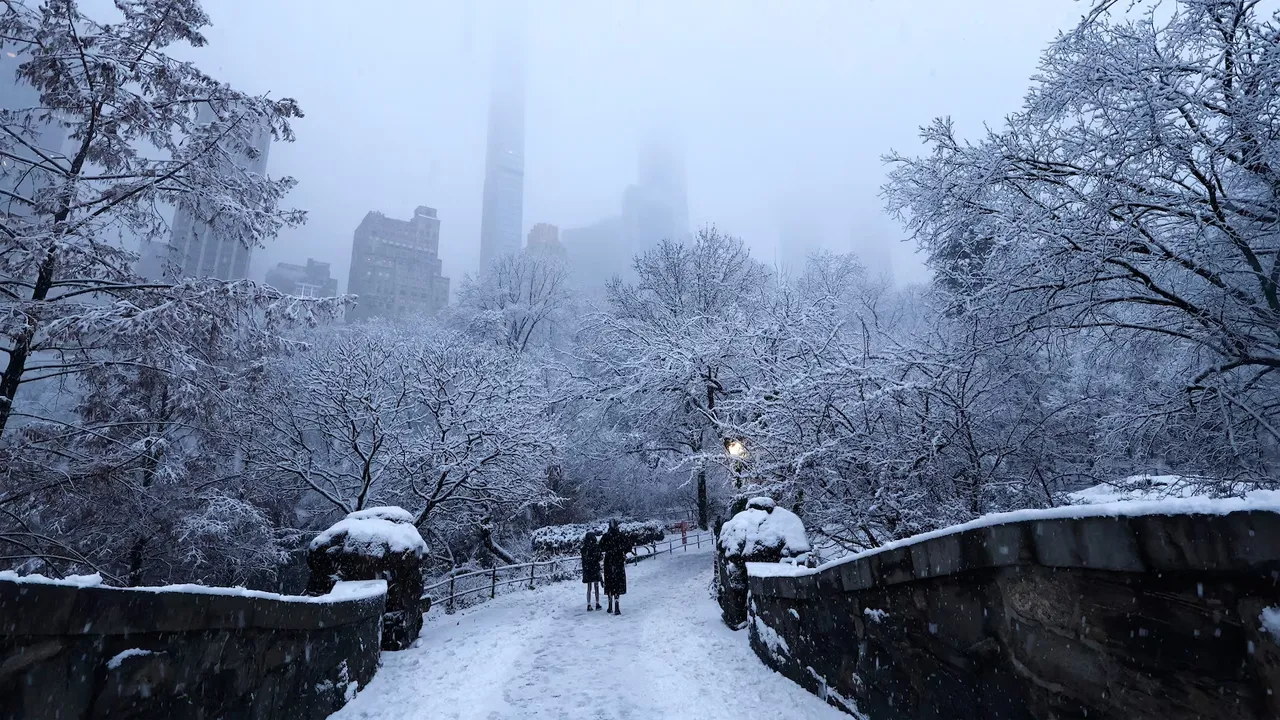 যুক্তরাষ্ট্রে তুষারঝড়, নিউইয়র্কে জরুরি অবস্থা
